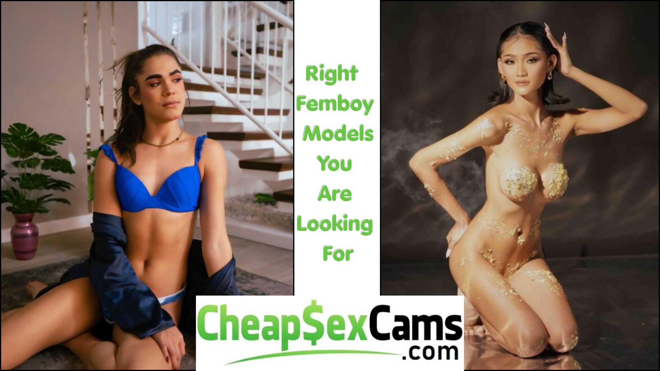 femboy cam models